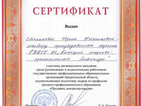 Сертификат Степановой И.Н. 23.01.2018